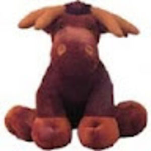 Meet your Posher, Nikki